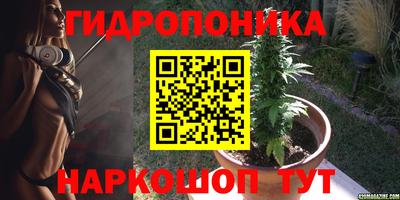 эйфоретик Тверь