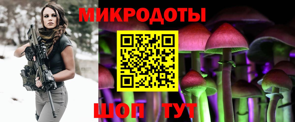 Галлюциногенные грибы Psilocybine cubensis Обь